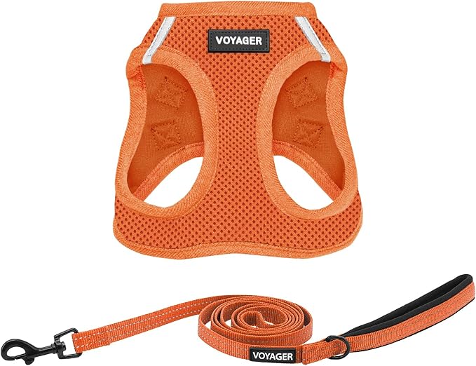 Best Pet Supplies Voyager Step-in Air All Weather Mesh Harness and Reflective Dog 5 ft Leash Combo with Neoprene Handle, for Small, Medium and Large Breed Puppies - Harness Leash Set (Orange), XXS