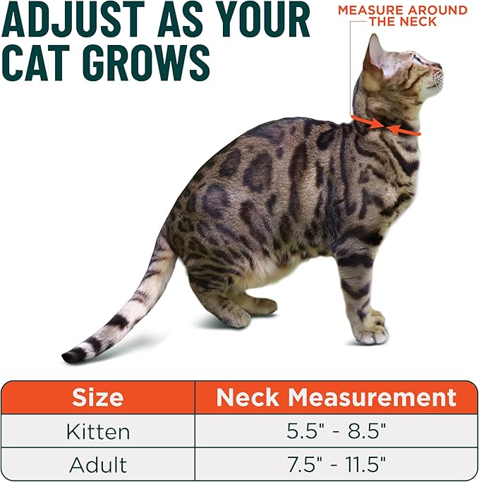 OutdoorBengal Black Breakaway Kitten Collar - Ultra Safe Quick Release Cat Collar for Small Kittens Under 6 Months – Soft-Padded, Lightweight, Adjustable, Thin and Comfortable, No Bell (Black, Kitten)
