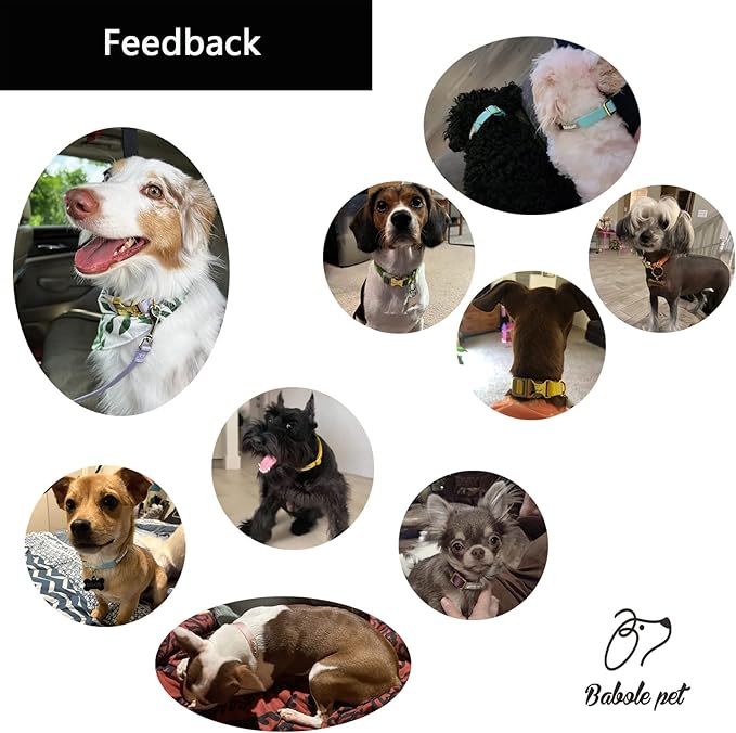 Nylon Dog Collar - Adjustable Lavender Soft Webbing Dog Collars for Small Medium Large Dogs Boy Girl Puppy Collar with Safety Metal Buckle M