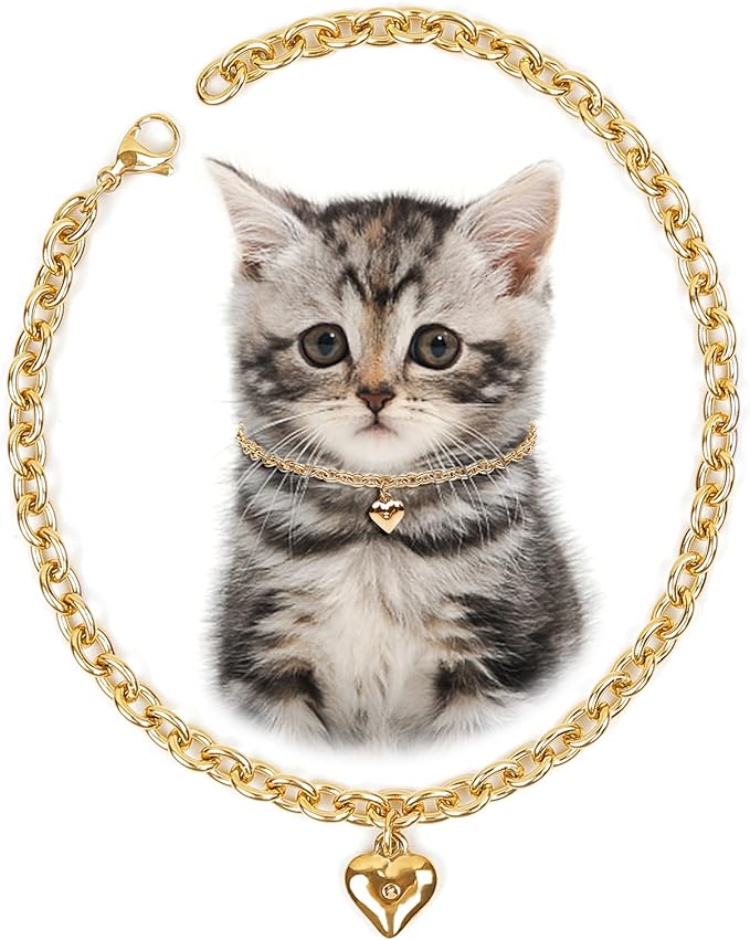 HOWWFALY Dog Collar and Cat Chain Necklace Stainless Steel Adjustable 18K Gold Heart-Shaped Necklace for Small Pets Cats Kitten Puppy (Gold, 7 inch)