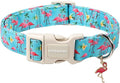 DOGWONG Spring Summer Dog Collar-Cute Flamingo Dog Collar, Adjustable Soft Beach Hawaiian Dogs Collars for Small Medium Dogs, XS