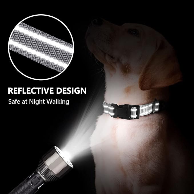 Martingale Dog Collar, Adjustable Nylon Reflective Collar with Buckle No Pull Dog Collar for Small Medium Large Dogs (Grey, M)