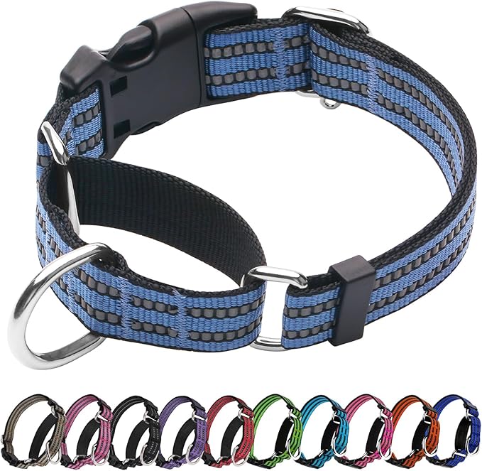 Martingale Dog Collar, Adjustable Nylon Reflective Collar with Quick Release Buckle (Grey Blue, Small)