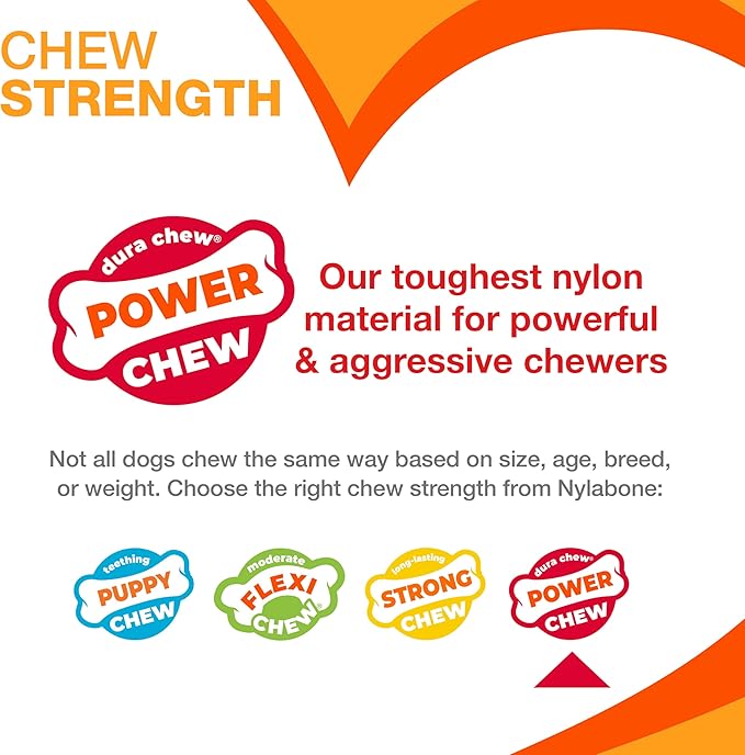 Nylabone Original & Textured Bone Power Chew Toy for Dogs, Durable & Tough Dog Toys for Aggressive Chewers, Basted Blast Bacon and Steak Flavor, Small Dogs - Up to 25 lbs, 2 Pack