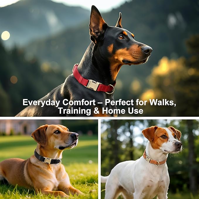 Plutus Pet Genuine Leather Dog Collar – Adjustable Pet Collar with Quick Release Metal Buckle, Soft Real Leather for Small Medium Large Dogs, Heavy Duty & Skin-Friendly (Copper Brown, XS)