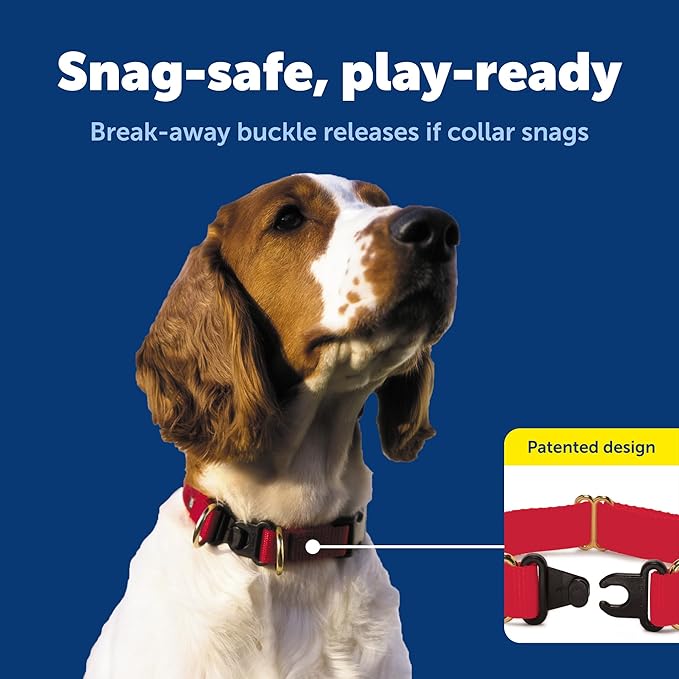 PetSafe KeepSafe Collar for Dogs - Protects Against Collar Accidents - Long Lasting - Durable - Adjustable - Breakaway - Outdoor-Safe - Medium - 3/4 In. Wide - Red