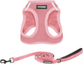 Best Pet Supplies Voyager Step-in Air All Weather Mesh Harness and Reflective Dog 5 ft Leash Combo with Neoprene Handle, for Small, Medium and Large Breed Puppies - Harness Leash Set (Pink), M