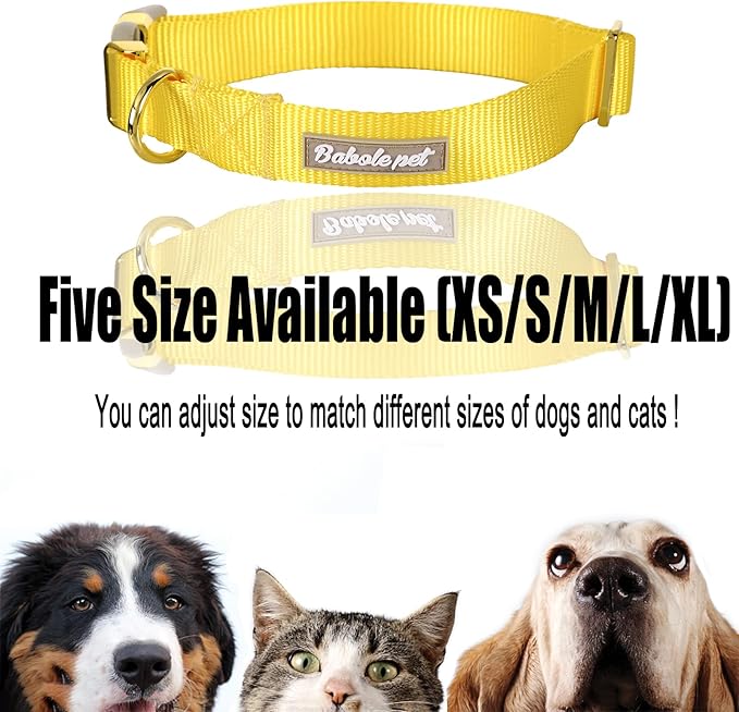 Nylon Dog Collar - Adjustable Yellow Soft Webbing Dog Collars for Small Medium Large Dogs Boy Girl Puppy Collar with Safety Metal Buckle S