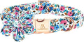 Lionheart Glory Floral Dog Collar - Soft, Durable & Adjustable for Large Dogs