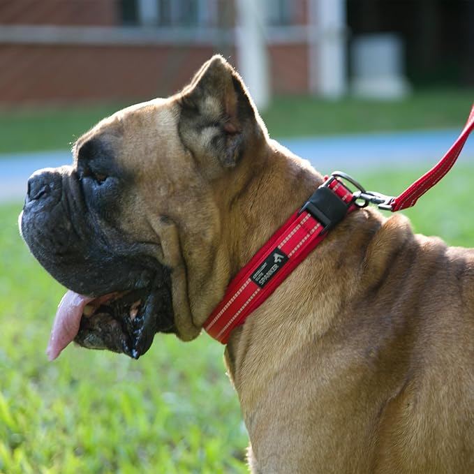 EXCELLENT ELITE SPANKER Reflective Dog Collar Classic Soft Padded Breathable Nylon Adjustable Pet Collar with Quick Release Buckle for Boy Girl Male Female Small Medium Large Dogs Training(Red-S)