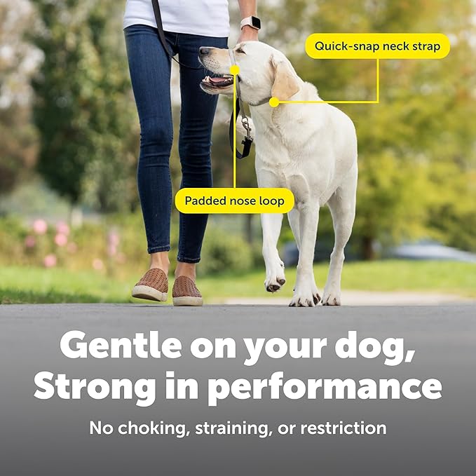 PetSafe Gentle Leader Headcollar No-Pull Dog Collar - Helps Improve Walks - Durable Nylon Construction - Padded Nose Loop - Adjustable Fit - Comfort Walking Halter - Large, Apple Green