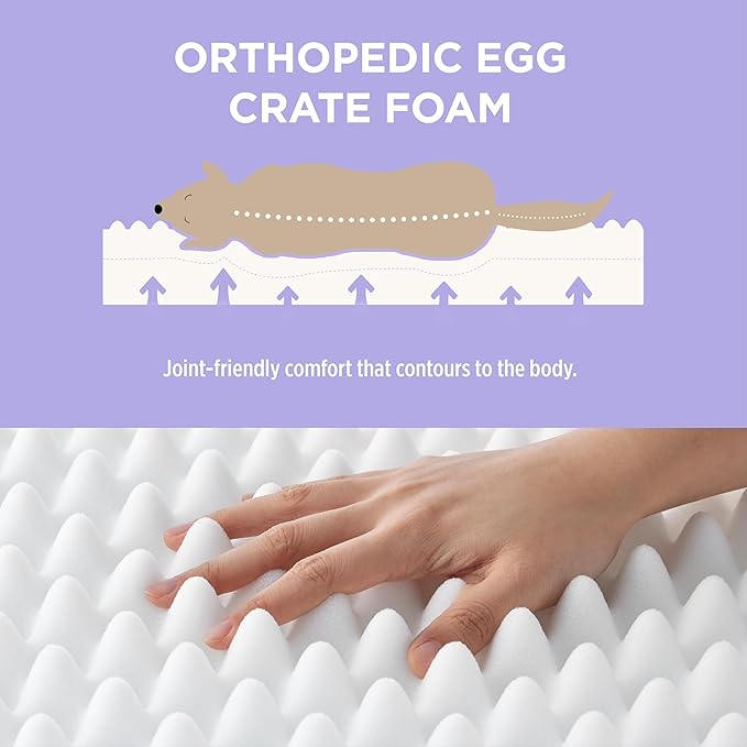 LE SURE Cute Orthopedic Dog Bed Large Sized Dog, Waterproof Chic Flat Pet Beds with Removable Washable Cover, Fuzzy Thick Egg Crate Foam Pet Mat for Indoor Use (36" x 27", Beige)