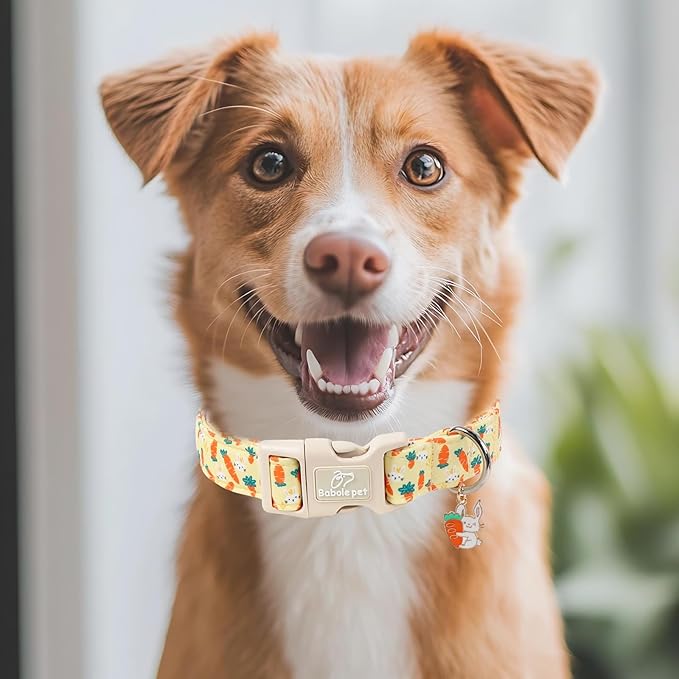 Easter Dog Collar for Large Dogs - Cute Carrot Bunny Easter Collars for Boy Girl Dogs, Lightweight Adjustable Yellow Cartoon Holiday Dog Collar L