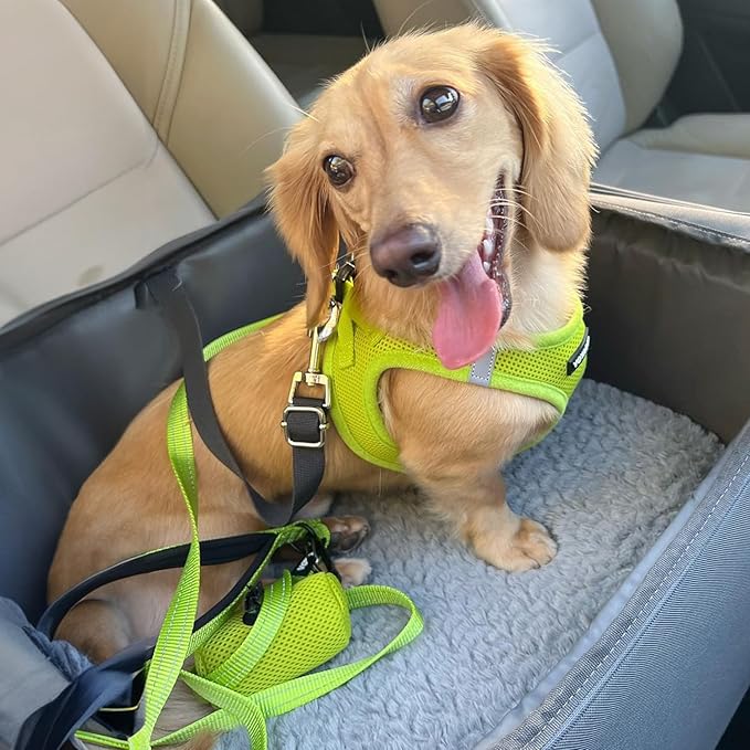 Best Pet Supplies Voyager Step-in Air All Weather Mesh Harness and Reflective Dog 5 ft Leash Combo with Neoprene Handle, for Small, Medium and Large Breed Puppies - Set (Lime Green), S
