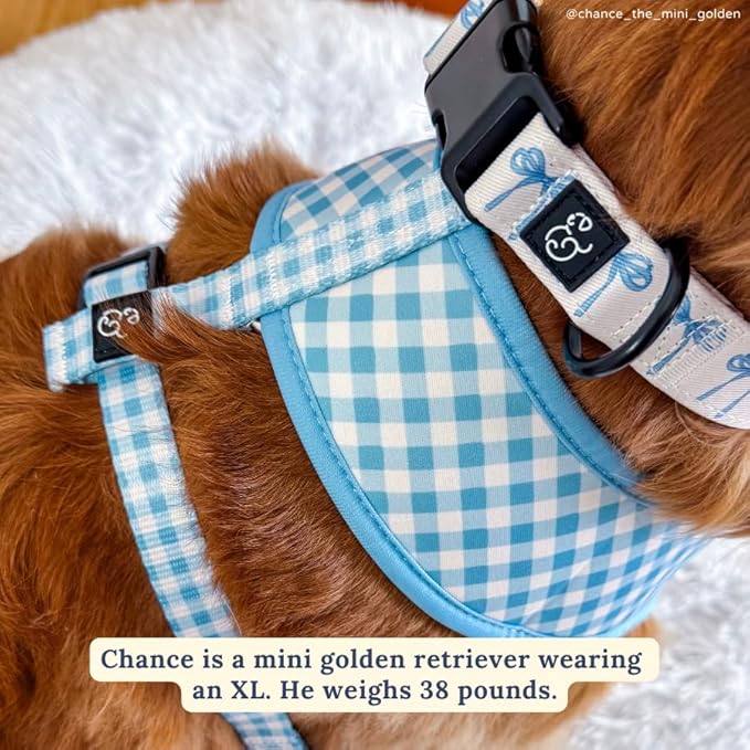 Lucy & Co. Cute Reversible Dog Harness Walking Halter - Best Designer Pet Harnesses for XS - XL Dogs - Padded Adjustable Vest for Easy Walking - X Small - White with Blue Bows