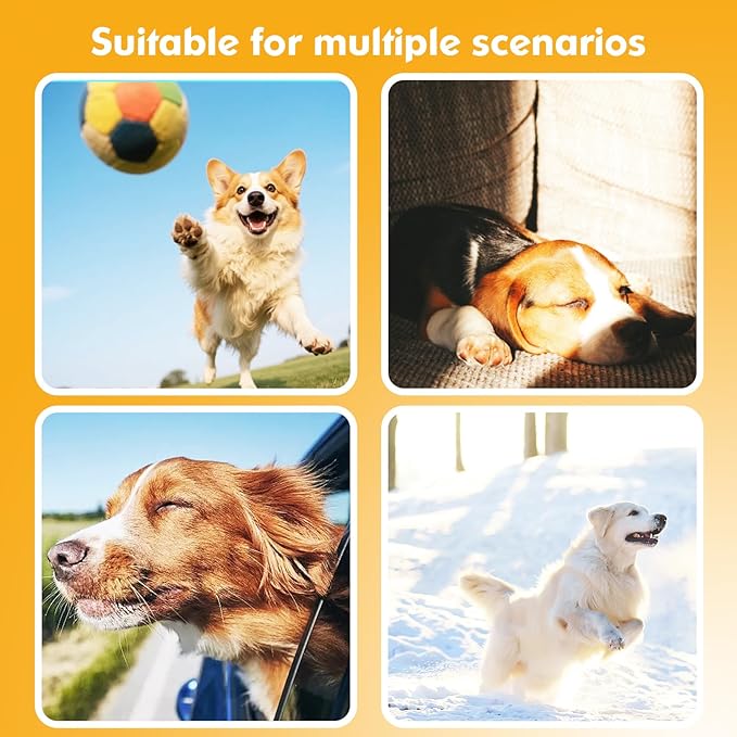 2-in-1 GPS Tracker for Dogs&Cats: Smart Collar with Real-Time Location, No Monthly Fee, Unlimited Range (iOS Only) GPS Tracker Dog Collar- Ideal for Small, Medium Large Dogs(Tracker Included)