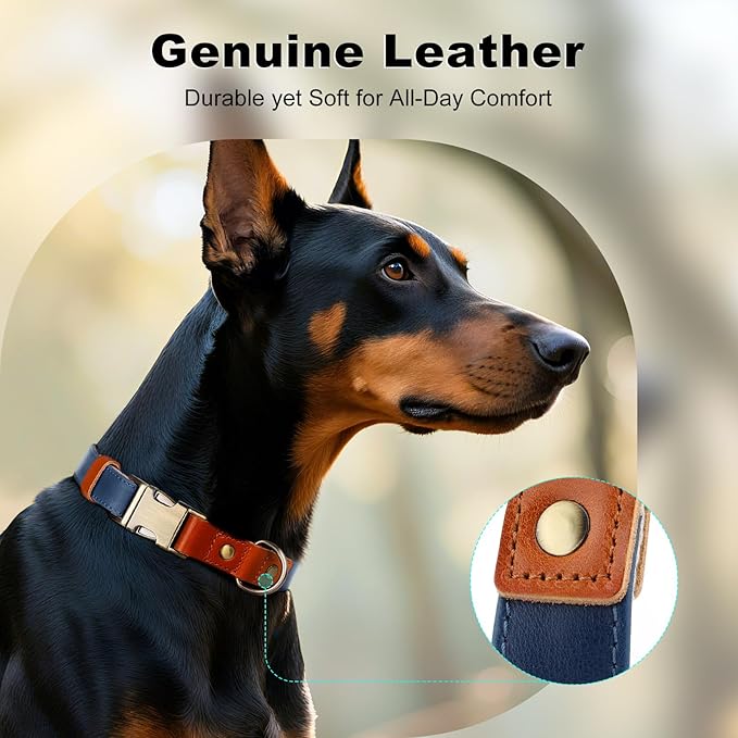 Plutus Pet Genuine Leather & Hemp Dog Collar – Adjustable Heavy Duty Pet Collar with Quick Release Metal Buckle, Soft & Stylish for Puppy and Small, Medium, Large Dogs (Royal Blue, M)