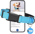 Reflective Dog Collar for Medium Dogs with Dog Tags Personalized & Quick Release Buckle, Adjustable and Comfortable Nylon Pet Collar, Blue