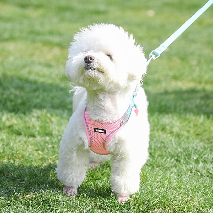 AIITLE Easy Walk Dog Harness and Leash Set - Pet Supply No Pull, Step in Adjustable Pet Harnesses with Padded Vest for Summer, No Choke Over, Easy to Put on Medium Dogs Pink L