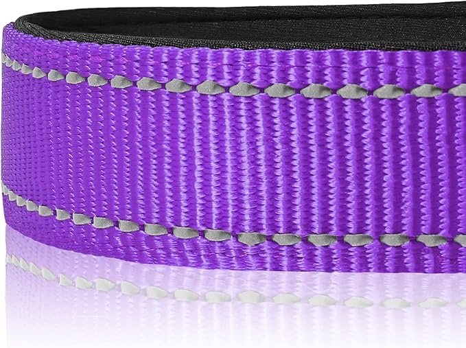 Joytale Reflective Dog Collar,Soft Neoprene Padded Breathable Nylon Pet Collar Adjustable for Small Dogs,Purple,S