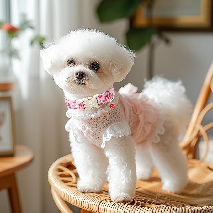 Strawberry Bow Dog Collar for Large Dogs - Cute Pink Spring/Summer Girl Dog Collars, Lightweight Adjustable Female Girly Dogs Collars with Quick Release Buckle L