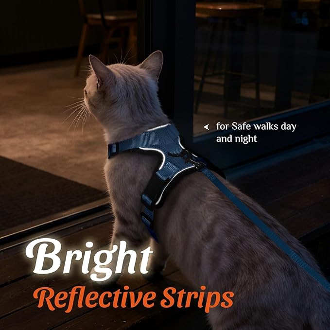 Dooradar Cat Harness and Leash Set, Escape Proof Safe Adjustable Kitten Vest Harnesses for Walking, Easy Control Soft Breathable Mesh Jacket with Reflective Strips for Cats, Light Blue, XXS