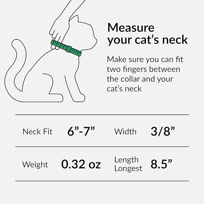 CollarDirect Leather Cat Collar with Bell - Kitten Collar, Small and Big Cat Collar for Boy Cats, Girl Cats with Safety Elastic Strap (Neck Fit 6"-7", Light Blue)
