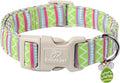 Easter Dog Collar for Small Dogs - Brightly Colored Stripe Easter Collars for Boy Girl Dogs, Adjustable Spring Holiday Pet Collars with Quick Release Buckle S