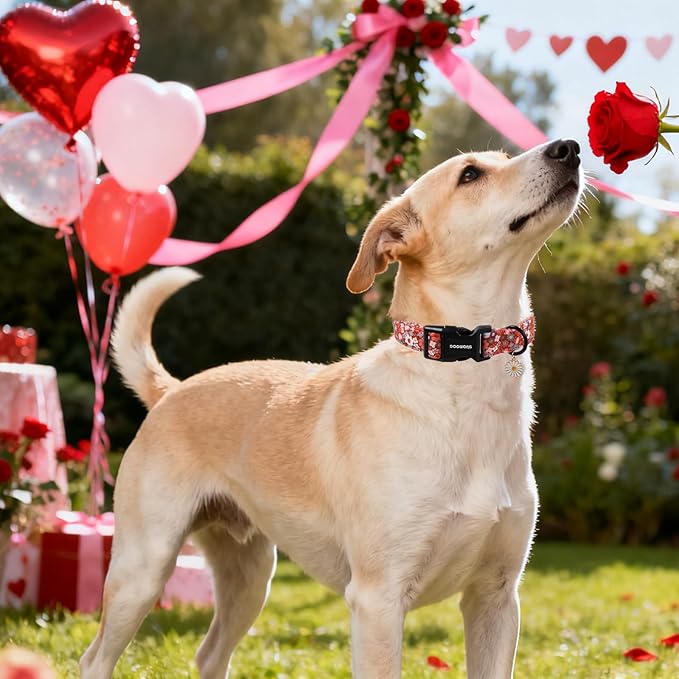 DOGWONG Red Flower Dog Collar, Cute Adjustable Floral Collar, Girl Female Dog Collar with Strong Plastic Buckle for Small Medium Large Dogs,XS