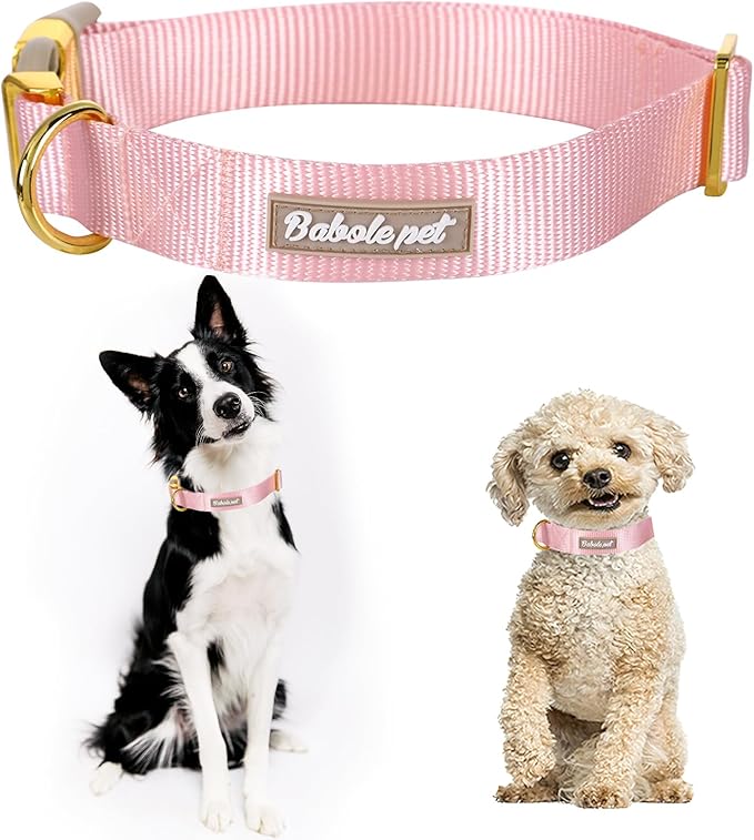 Nylon Dog Collar - Adjustable Pink Soft Webbing Dog Collars for Small Medium Large Dogs Boy Girl Puppy Collar with Safety Metal Buckle XS