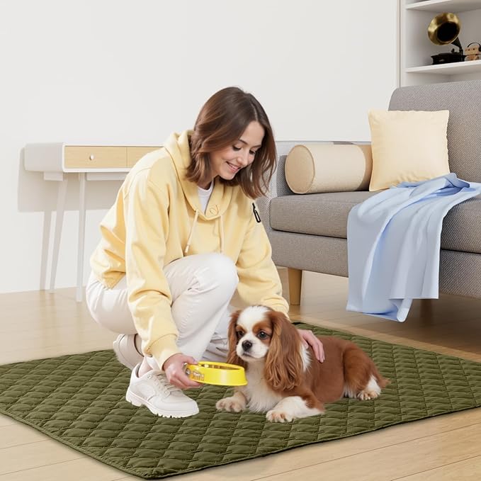 Smiry Waterproof Dog Bed Cover Blanket, Soft Reversible Pet Blanket, Washable Leakproof Cats Dogs Couch Cover for Sofa, Couch, Furniture (52x82 Inch, Green/Navy)