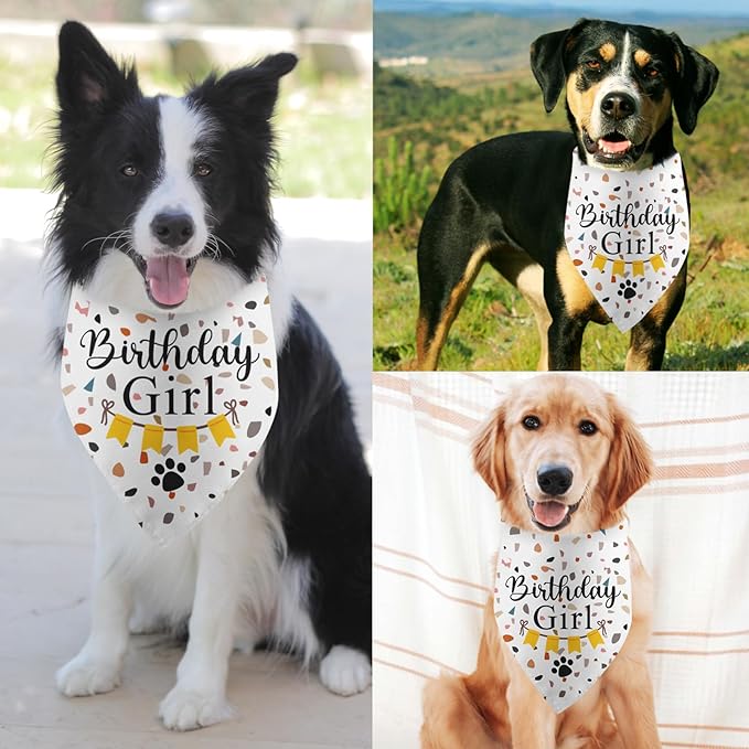 Dog Birthday Bandana Party Supplies Photo Prop Puppy Happy Birthday Dog Pet Scarf Accessories for Dog Lovers