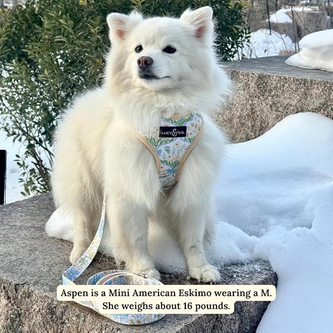 Lucy & Co. Sunshine and Daffodils Reversible Dog Harness, Adjustable Comfort Fit with Dual Leash Attachments, Small