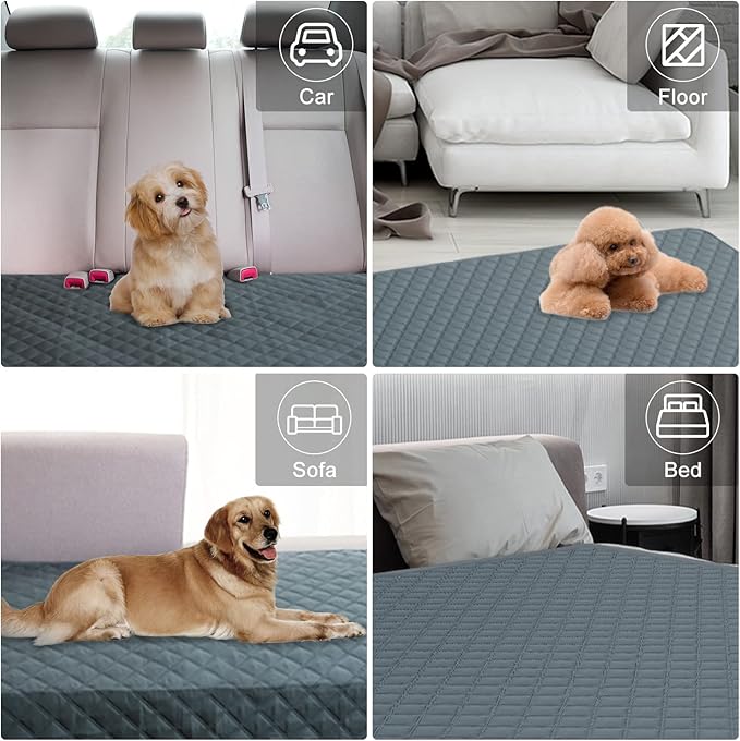 Comsmart Waterproof Couch Cover Dog Cat Blanket, Anti-Slip Liquid Urinary Proof Furniture Blanket, Reversible Pet Blanket Protector for Couch Sofa Bed Car Floor, 52 * 82 in