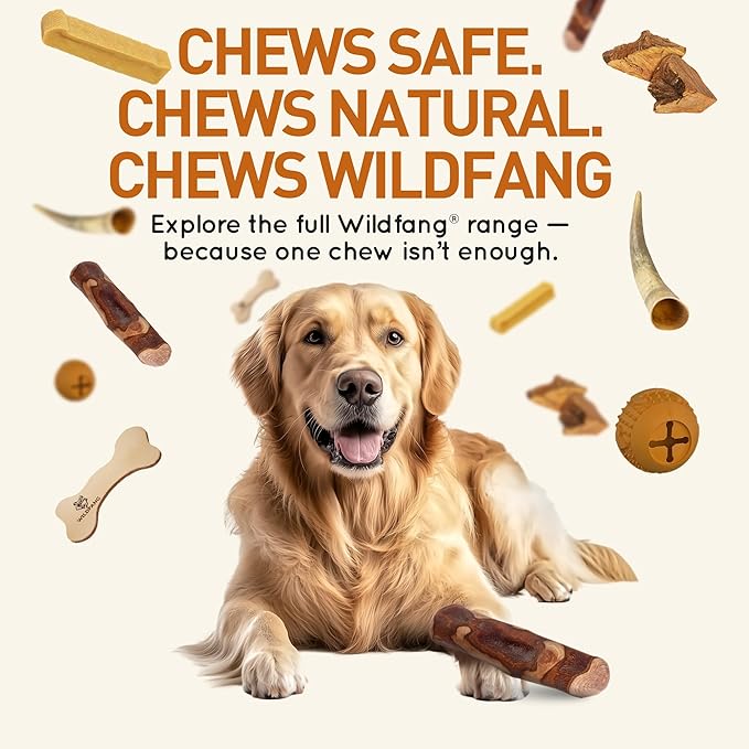 Wildfang® Olive Wood Chewing Sticks for Dogs, Medium - Tough Chew Toys for Aggressive Chewers, Puppy Chew Toys for Teething, Training for Chewing Muscles, Olive Wood Stick for Dog (33-55lbs)