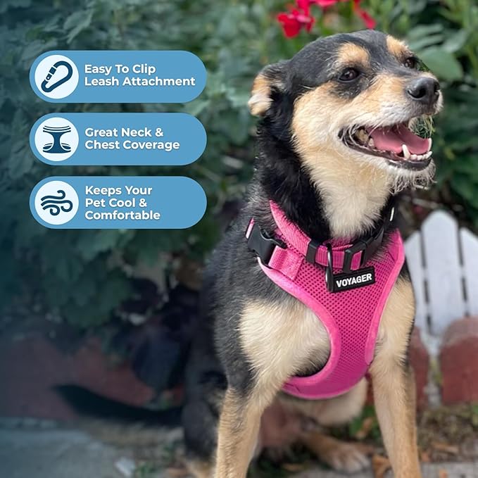 Voyager Step-in Pet Harness - All Weather Mesh, Adjustable Step in Harness for Cats and Dogs by Best Pet Supplies - Fuchsia, L