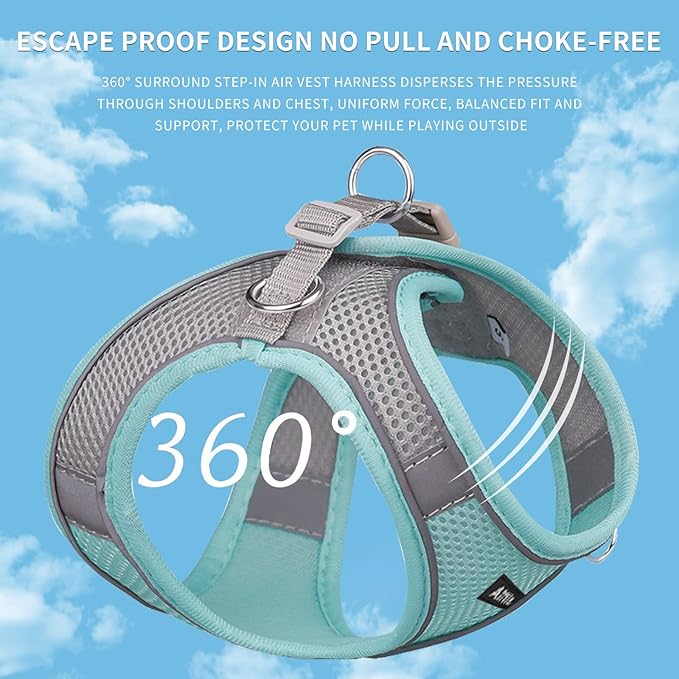 AIITLE Dog Harness, No-Pull Cat Harness with a Leash, Adjustable Reflective Dog Vest, Cat Harness Escape Proof, Outdoor Walking, Running,Training for Extra Small Dogs and House Cats Turquoise XXXS