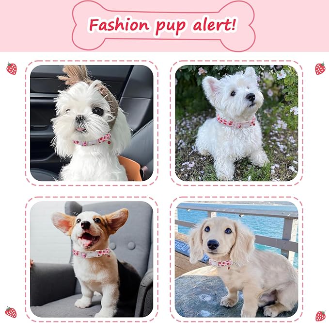 Strawberry Dog Collar, Cute Pink Dog Collars for Medium Dogs, Sweet Fresh Style Pet Collar Medium Dog Collars, Puppy Collar with Quick Release Buckle for Girl Boy Dog-M