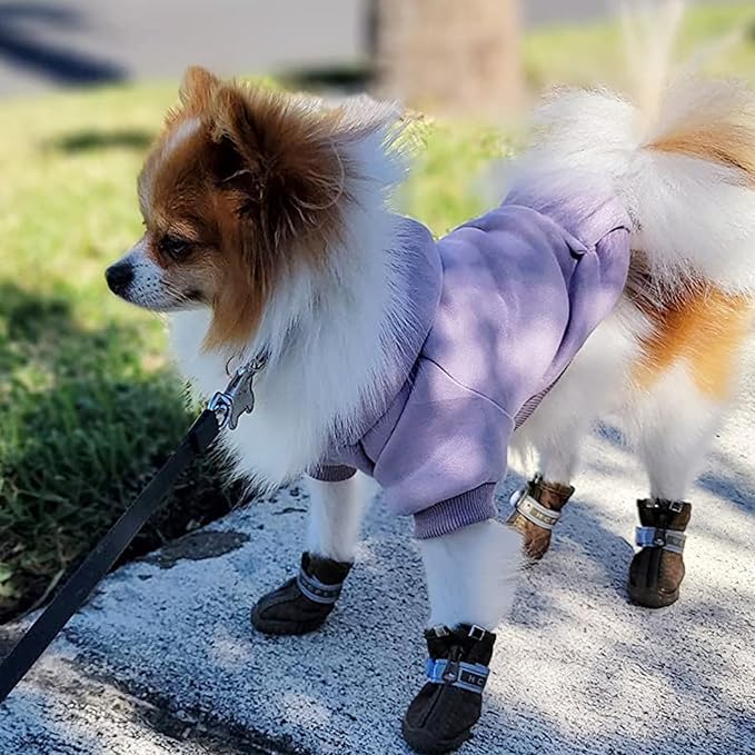 Jecikelon Winter Dog Hoodie Sweatshirts with Pockets Warm Dog Clothes for Small Dogs Chihuahua Coat Clothing Puppy Cat Custume (Purple, Small)