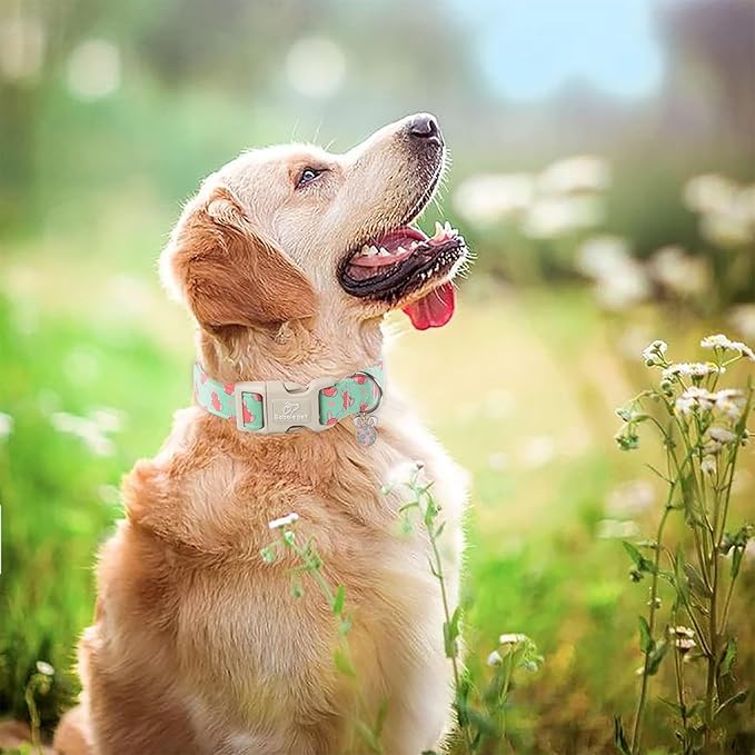 Easter Dog Collar for Large Dogs - Green Bunny Egg Dog Collars, Cute Boy Girl Dogs Easter Collar, Adjustable Spring Holiday Pet Collars with Quick Release Buckle L