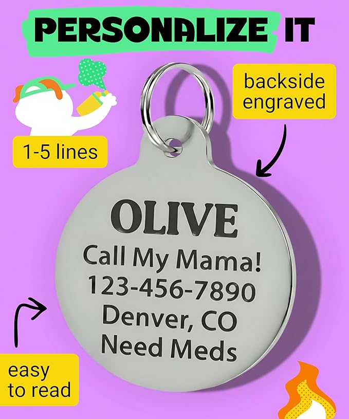 Bad Tags Personalized Dog and Cat ID Tags in 25+ Designs and 2 Sizes - 5 Lines of Custom Engraved Text - Funny Cute Personalized Pet Tags (Cheese Tax Collector, Large (1.25 inch))