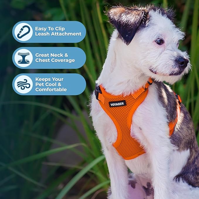 Voyager Step-in Pet Harness - All Weather Mesh, Adjustable Step in Harness for Cats and Dogs by Best Pet Supplies - Orange, S