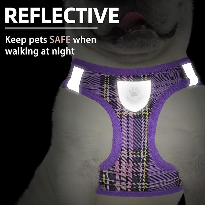 PUPTECK Adjustable Dog Harness Collar and Leash Set Step in No Pull Pet Harness for Small Medium Dogs Puppy and Cats Outdoor Walking Running, Soft Mesh Padded Reflective Vest Harnesses, Purple S