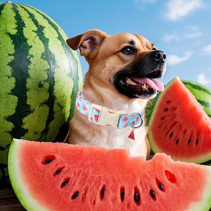 Adjustable Summer Dog Collar, Cute Watermelon Dog Collars for Medium Dogs, Lightweight Quick-Release Buckle Collar for Boy&Girl Dogs M