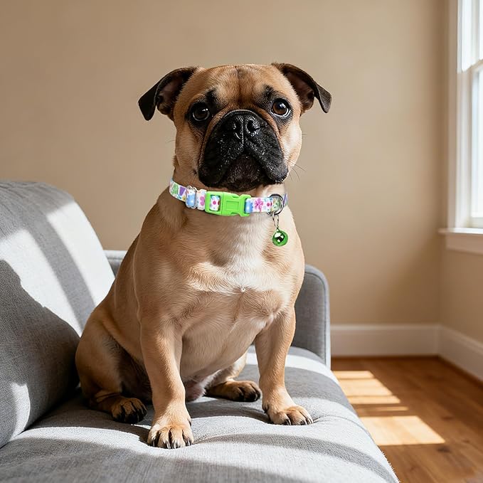 Puppy Collar with Bell，Nylon - Adjustable XXS/XS/S Tiny Dog & Cat Collar for Small Breeds,Soft Pink Collar with Quick-Release Buckle（Spring XS）