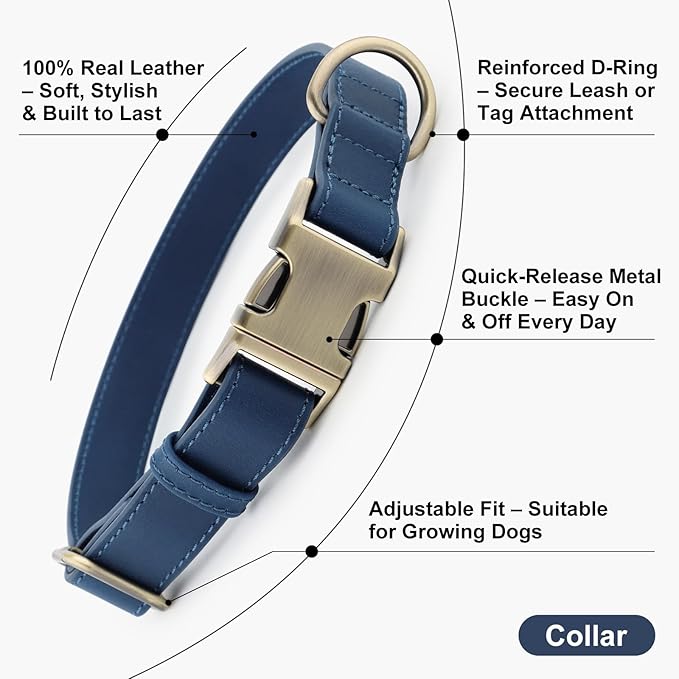 Plutus Pet Genuine Leather Dog Collar – Adjustable Pet Collar with Quick Release Metal Buckle, Soft Real Leather for Small Medium Large Dogs, Heavy Duty & Skin-Friendly (Royal Blue, XS)