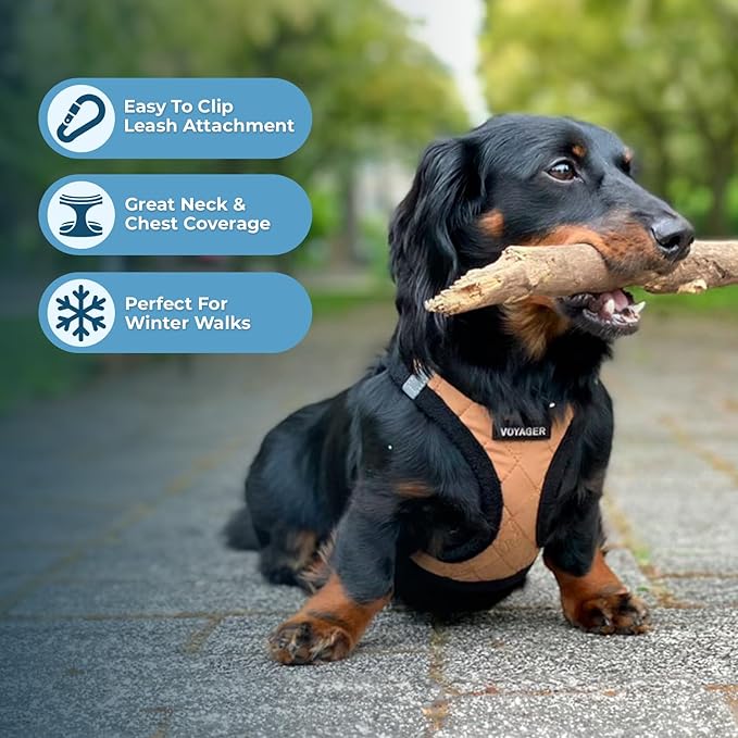 Best Pet Supplies - All Weather Plush, Reflective, No Pull Harness for Small, Medium Dogs, Cats - Secure with Hook & Loop Fastener, Buckle, Double D-Rings - Beige Plush, S
