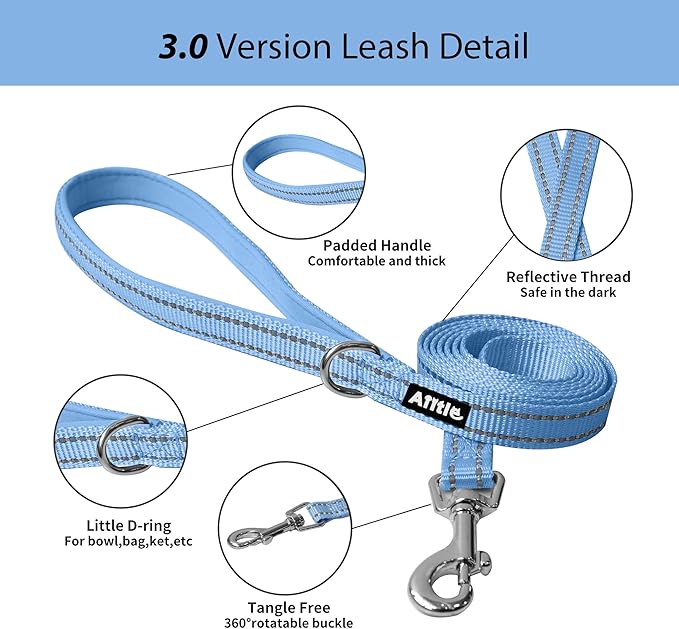 AIITLE Small Harness for Puppy with A Leash - Dog Vest Harness with Super Breathable Mesh, Reflective No-Pull Pet Harness for Outdoor Walking, Running for Small Dogs, Cats Blue XXS