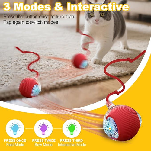 2-Pack Interactive Cat Toys Ball for Indoor Cats＆Dogs,Automatic Cat Toy 360° Auto-Rotation Smart Obstacle Avoidance,Includes 4 Cat Spiral Spring,Cat Enrichment Toys for Indoor Cats (RedBlue)