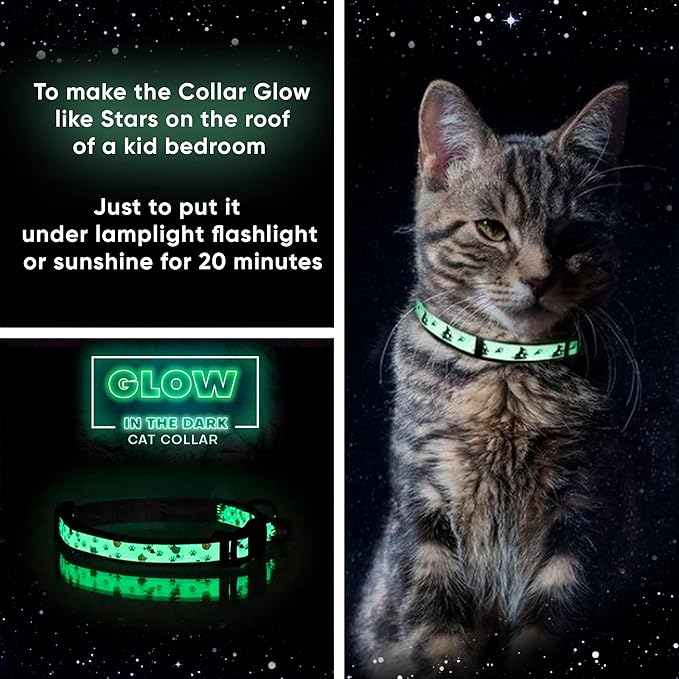 Pawtitas Glow in The Dark Cat Collar with Breakaway Safety Buckle & Bell Adjustable Kitten Collar, Halloween Purple